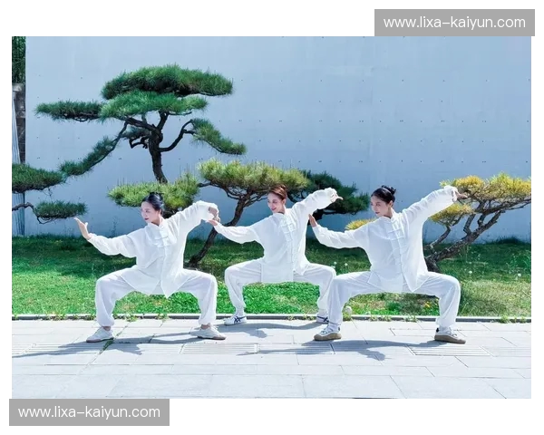 太极实战第一人？揭秘“韩飞龙vs”背后的武林真相：当古老传说撞上现代钢铁