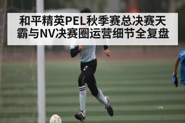 和平精英PEL秋季赛总决赛天霸与NV决赛圈运营细节全复盘